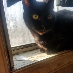 Meet your Posher, Tayla